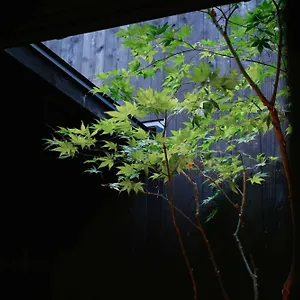 kiraku-kyoto-zeniyacho.hotels-in-kyoto.org/