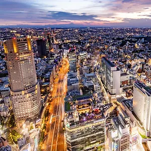 Hotel Cerulean Tower Tokyu Hotel, A Pan Pacific Partner, Tokio